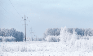 Electrical power lines in snow